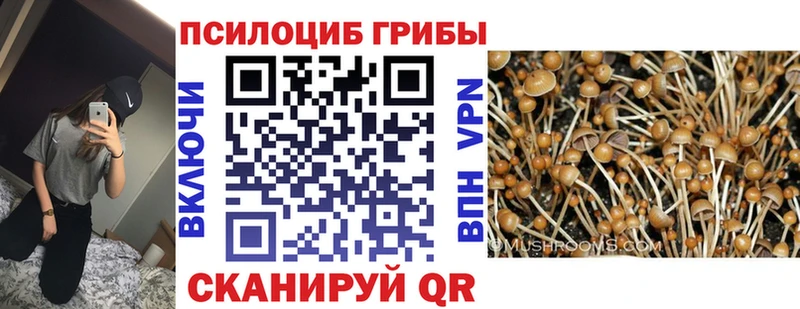 Псилоцибиновые грибы Cubensis  Ростов-на-Дону 