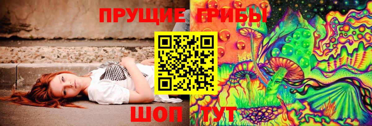 Псилоцибиновые грибы Magic Shrooms  Псилоцибиновые грибы Magic Shrooms  Вход с VPN  Ростов-на-Дону 